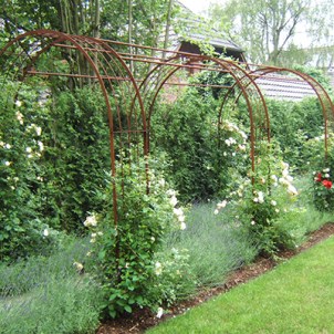 pergola3