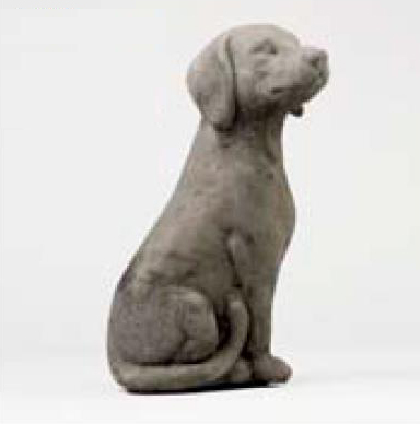 1001hondje