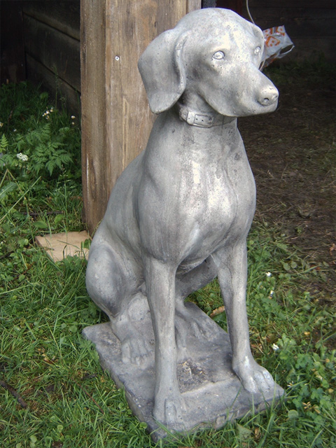 1012hond