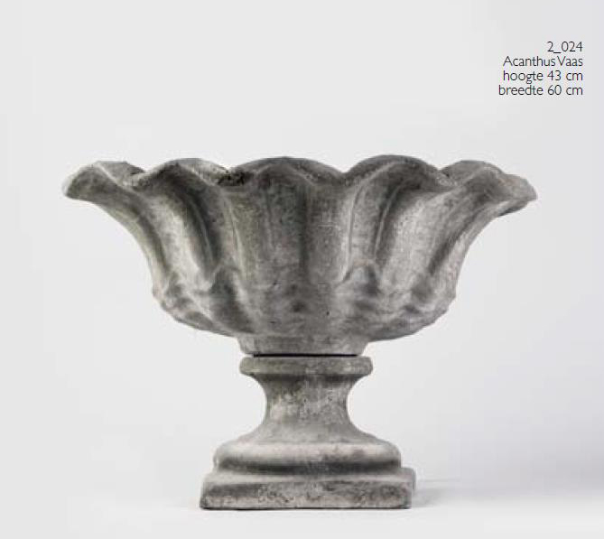 2024acanthus