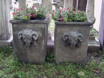 2040ramskopbak