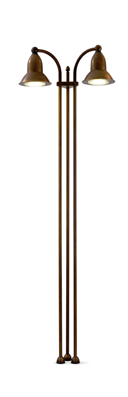 Akebia4