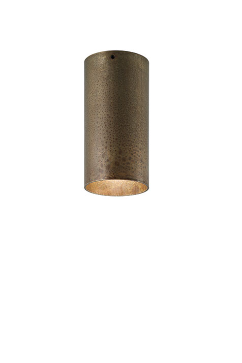 ilgirasoli20803